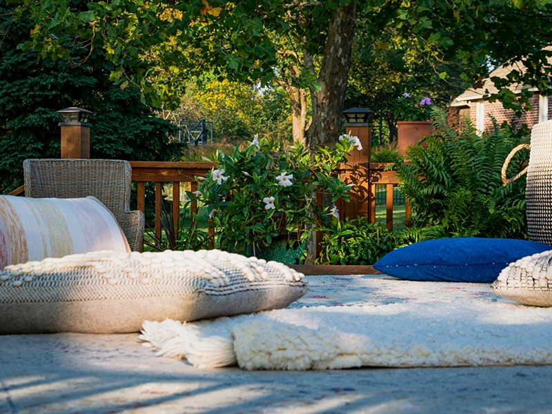 8th Heal Your Brain Retreat